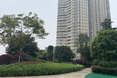 华远华中心 品质与挑战并存的繁华之芯——点评及中介经纪人观察